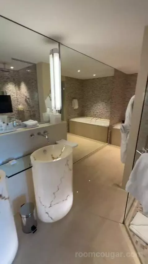 Panoramic Suite, Suite, 1 King bathroom picture #4