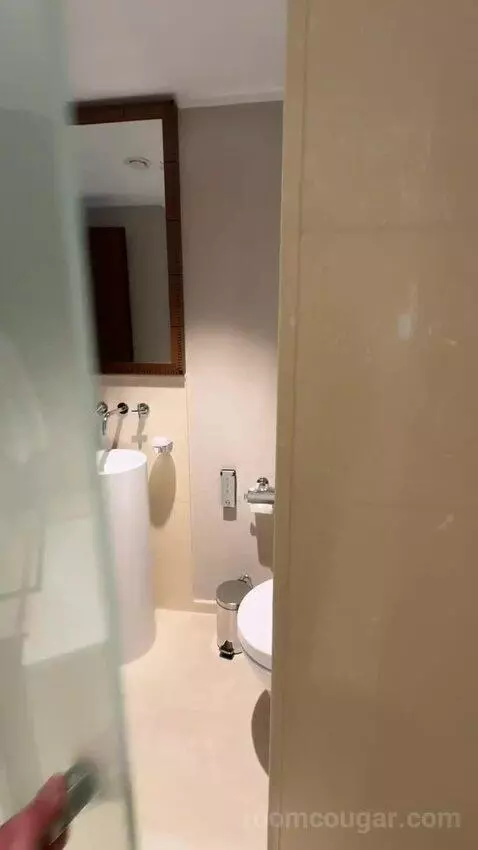 Panoramic Suite, Suite, 1 King bathroom picture #11