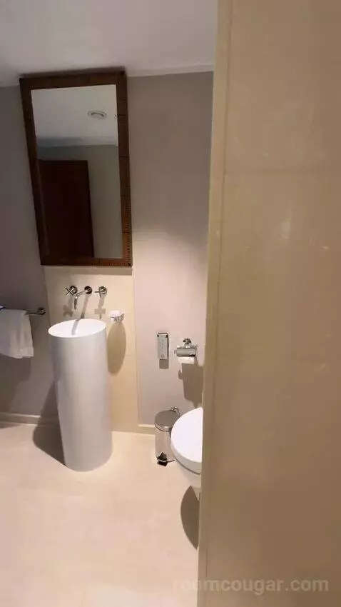 Panoramic Suite, Suite, 1 King bathroom picture #12