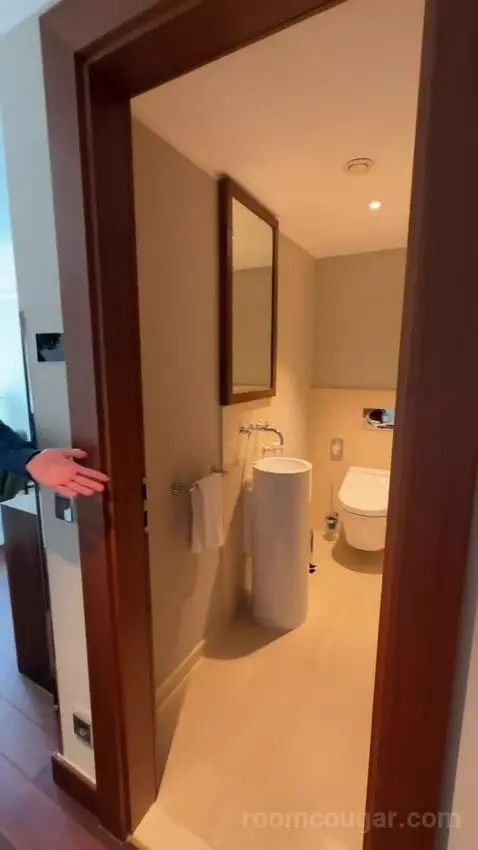 Panoramic Suite, Suite, 1 King bathroom picture #1