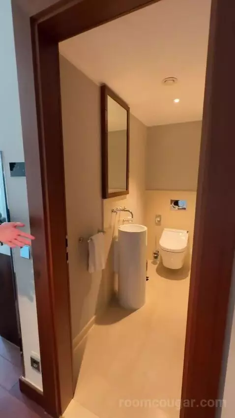 Panoramic Suite, Suite, 1 King bathroom picture #2
