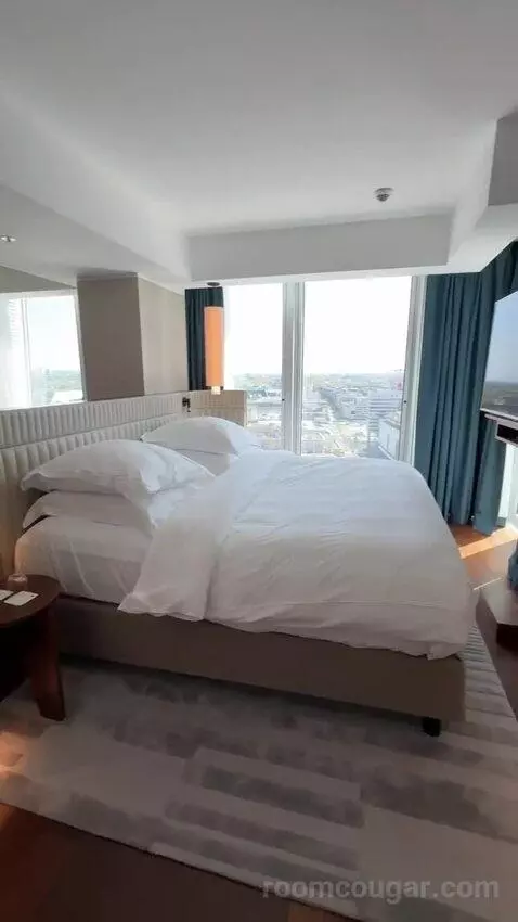 Panoramic Suite, Suite, 1 King bed picture #9