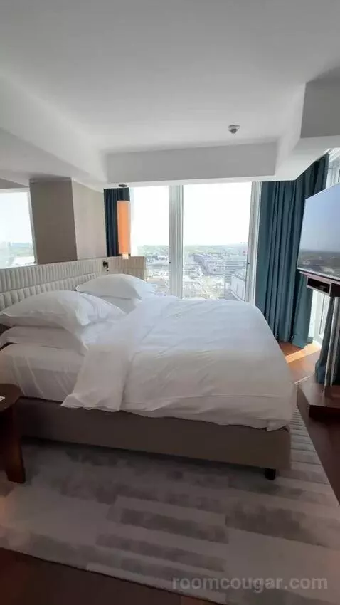 Panoramic Suite, Suite, 1 King bed picture #10