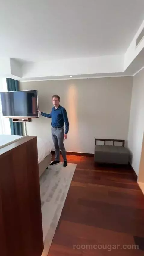 Panoramic Suite, Suite, 1 King bed picture #1