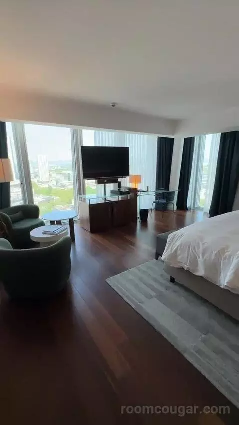 Skyline Junior Suite, Junior Suite, 1 King bed picture #2