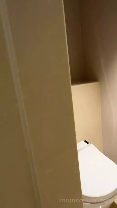 Skyline Junior Suite, Junior Suite, 1 King bathroom picture #9