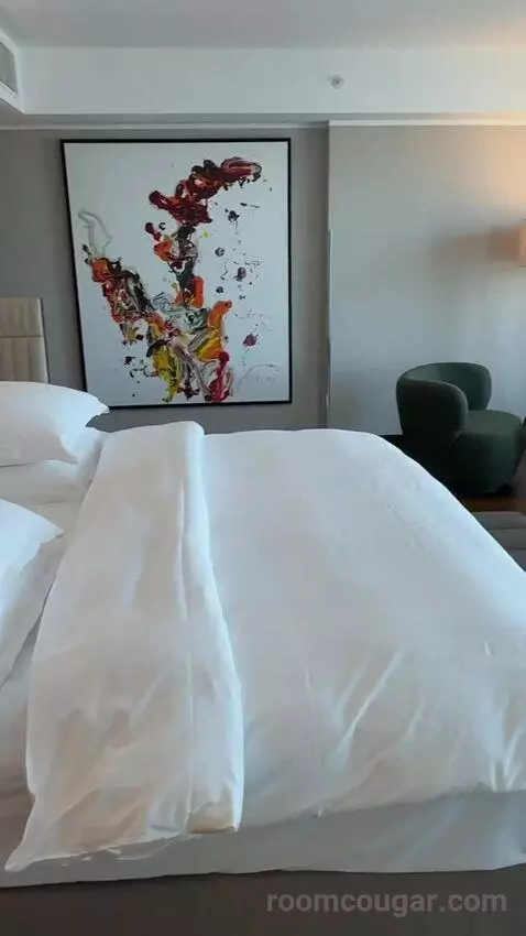 Skyline Junior Suite, Junior Suite, 1 King bed picture #10