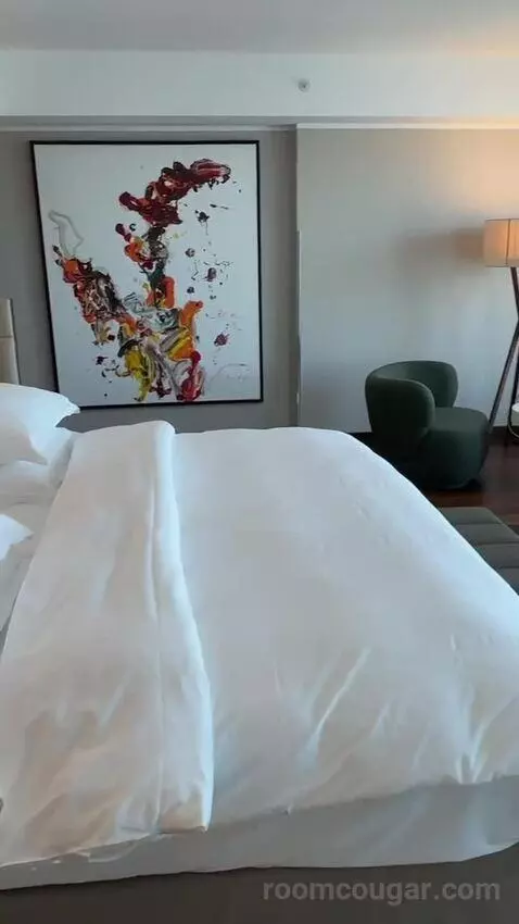 Skyline Junior Suite, Junior Suite, 1 King bed picture #11