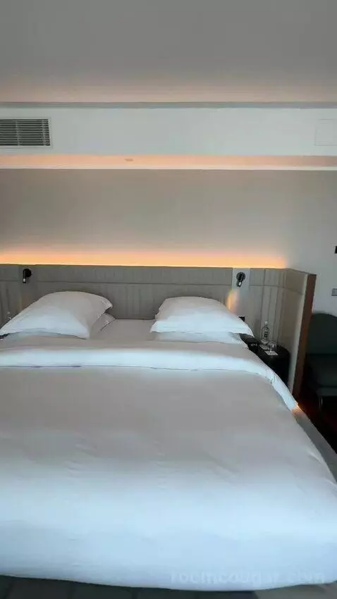 Skyline Junior Suite, Junior Suite, 1 King bed picture #4
