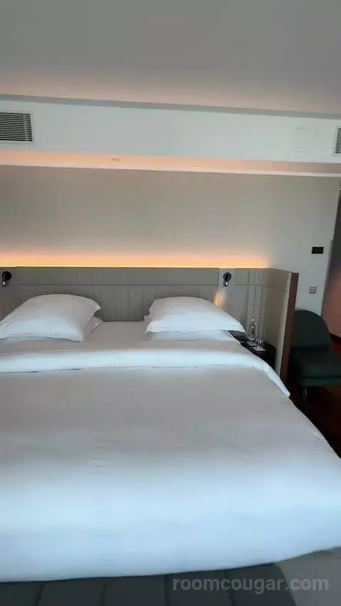 Skyline Junior Suite, Junior Suite, 1 King bed picture #5