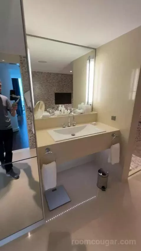 Skyline Junior Suite, Junior Suite, 1 King bathroom picture #2