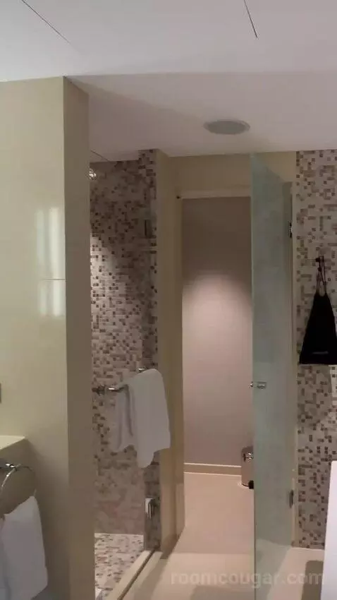 Skyline Junior Suite, Junior Suite, 1 King bathroom picture #5