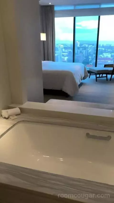 1 Bedroom Junior Suite, 1 King, City View, Corner Room (#1818) view picture #6