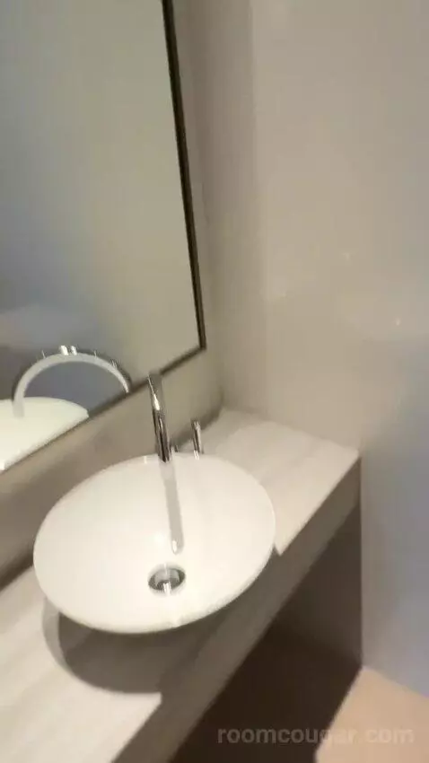 1 Bedroom Junior Suite, 1 King, City View, Corner Room (#1818) bathroom picture #7