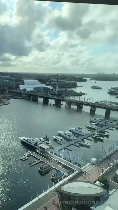 Spectacular Room, Guest Room, 1 King, Darling Harbour View view picture #4