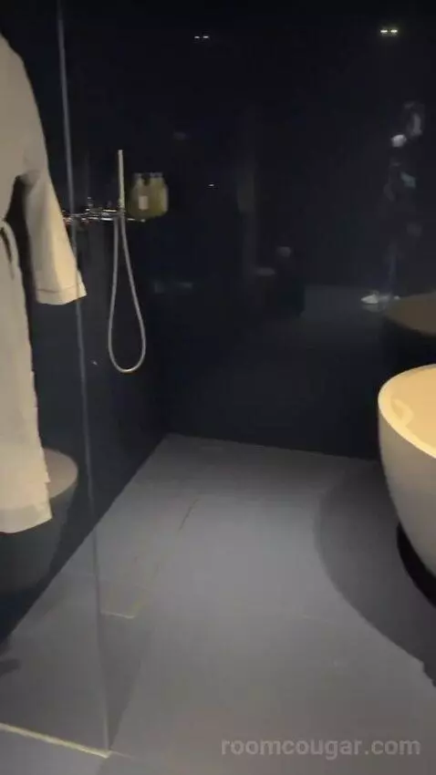 Spectacular Room, Guest Room, 1 King, Darling Harbour View bathroom picture #1