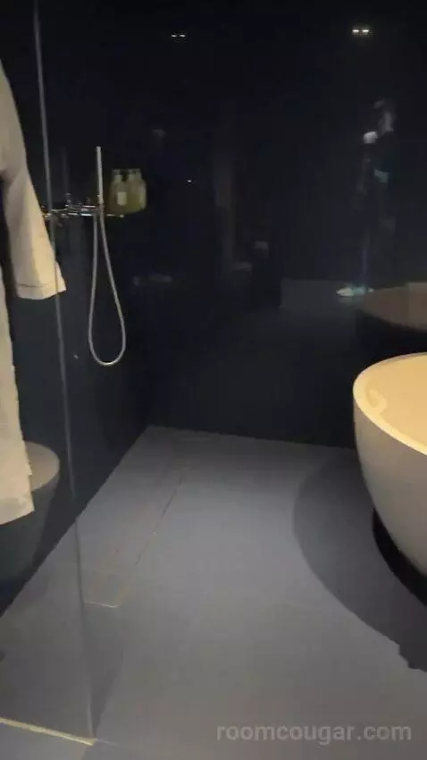 Spectacular Room, Guest Room, 1 King, Darling Harbour View bathroom picture #2