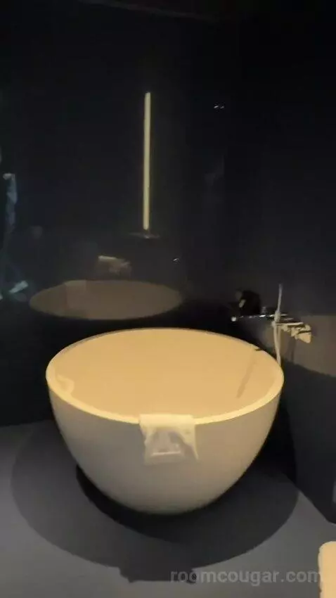 Spectacular Room, Guest Room, 1 King, Darling Harbour View bathroom picture #6