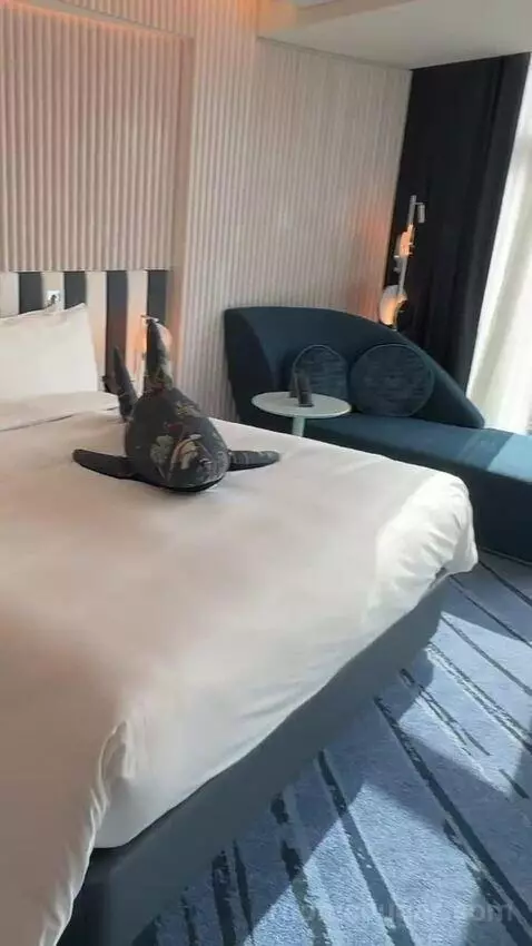 Spectacular Room, Guest Room, 1 King, Darling Harbour View bed picture #6