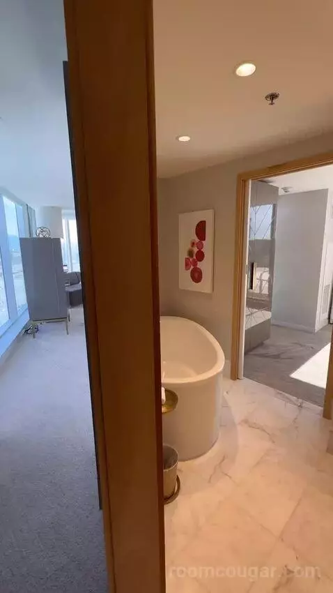 1 Bedroom Suite, 1 King picture #1