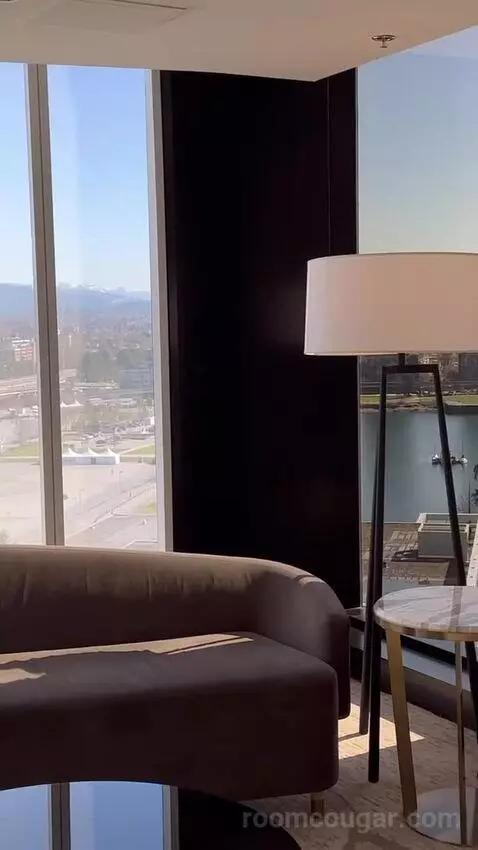 1 Bedroom Suite, 1 King picture #13
