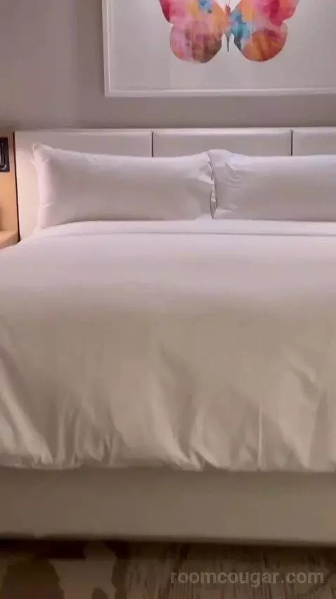 1 Bedroom Suite, 1 King bed picture #6