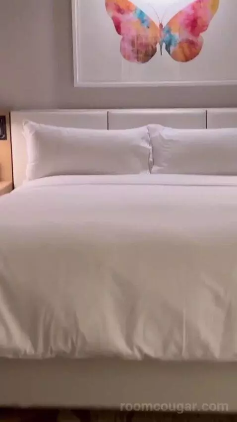 1 Bedroom Suite, 1 King bed picture #7