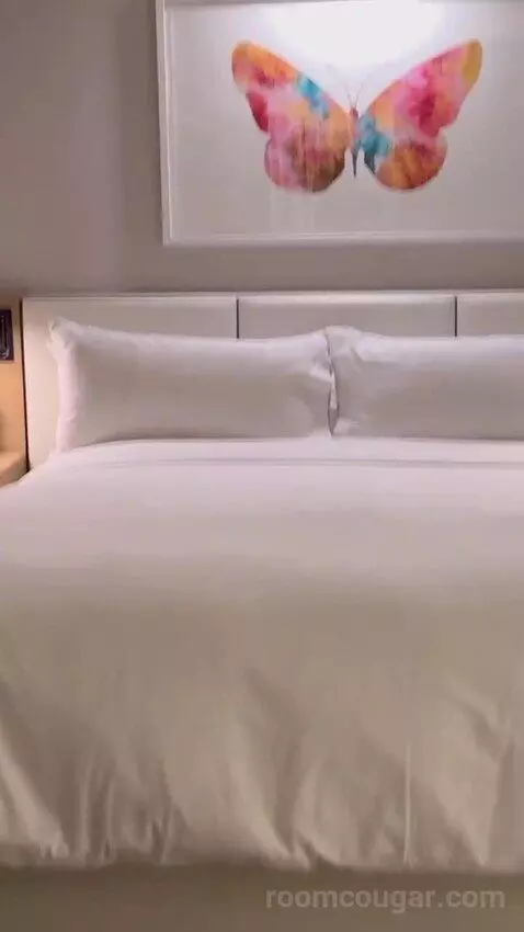 1 Bedroom Suite, 1 King bed picture #8