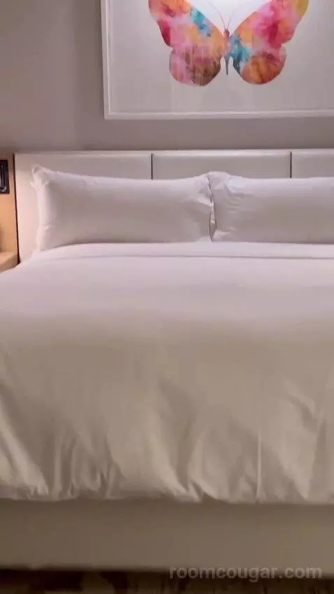 1 Bedroom Suite, 1 King picture #14