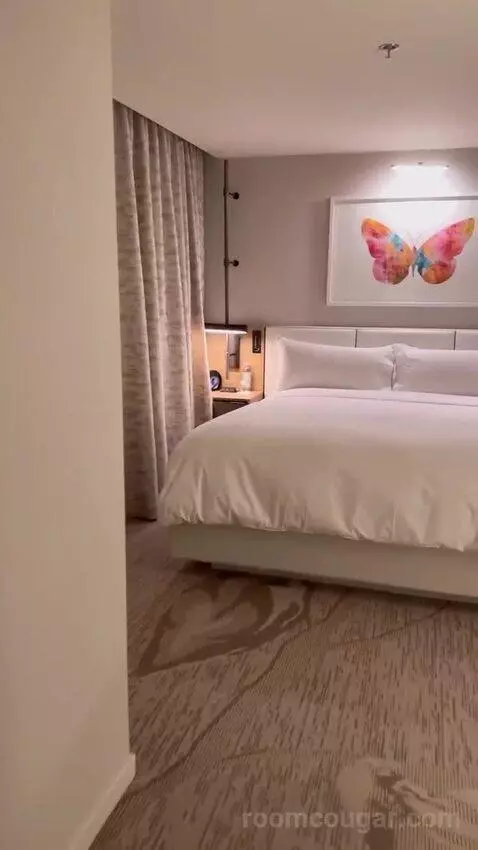 1 Bedroom Suite, 1 King bed picture #9