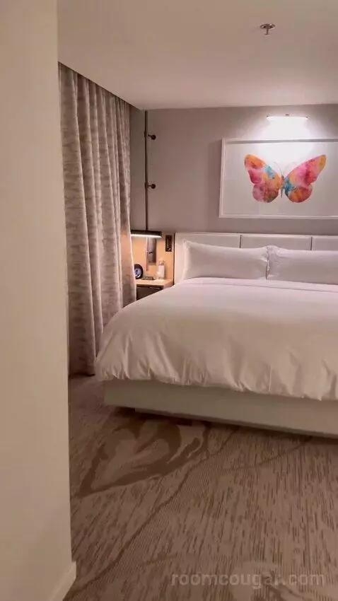 1 Bedroom Suite, 1 King bed picture #10