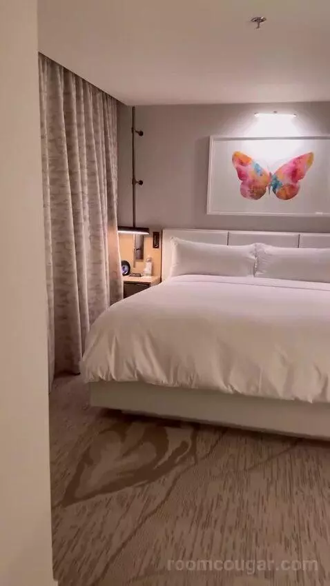1 Bedroom Suite, 1 King bed picture #11
