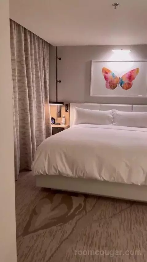 1 Bedroom Suite, 1 King bed picture #12