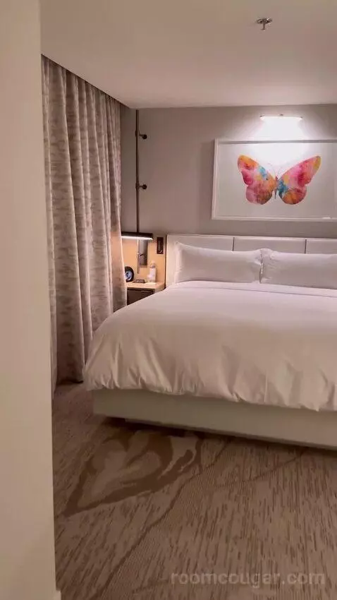 1 Bedroom Suite, 1 King picture #19