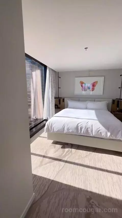 1 Bedroom Suite, 1 King bed picture #1