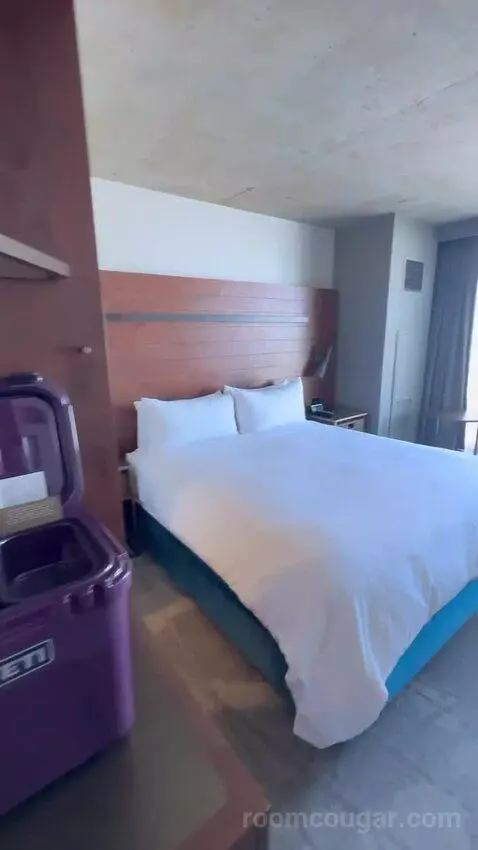 Guest Room, 1 King, Stadium View bed picture #4