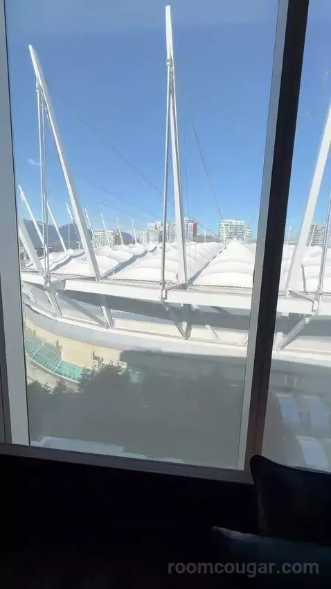 Guest Room, 1 King, Stadium View picture #6