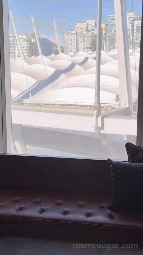 Guest Room, 1 King, Stadium View view picture #1
