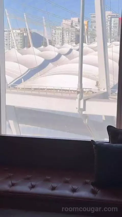Guest Room, 1 King, Stadium View view picture #2