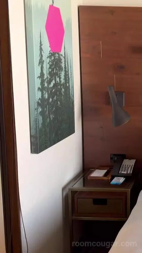 Guest Room, 1 King, Stadium View picture #9