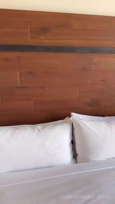 Guest Room, 1 King, Stadium View bed picture #9