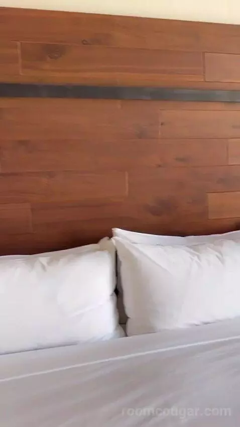 Guest Room, 1 King, Stadium View bed picture #10