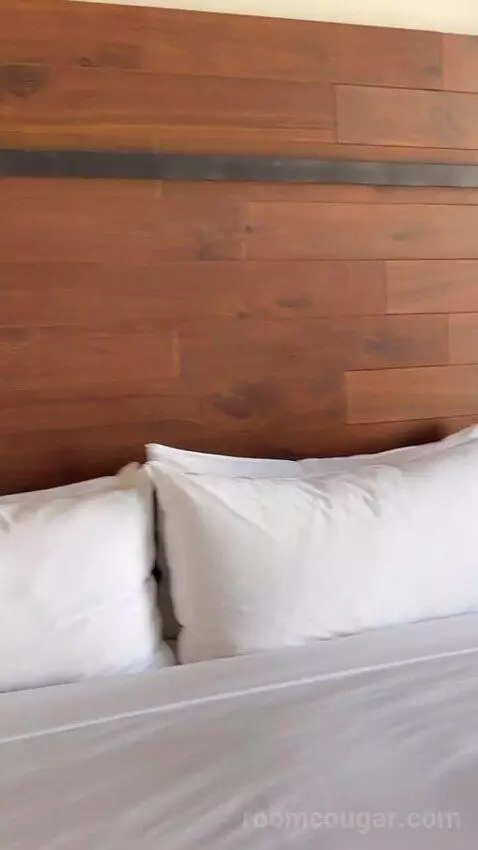 Guest Room, 1 King, Stadium View bed picture #11