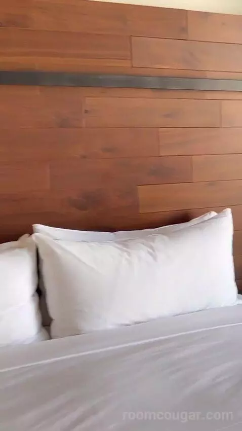 Guest Room, 1 King, Stadium View bed picture #12