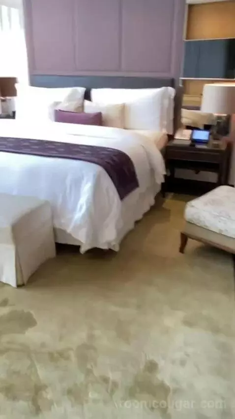 1 King Bed, Paseo De La Reforma Avenue View, Butler Service, Astor Suite bed picture #2