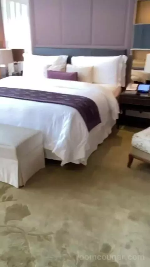 1 King Bed, Paseo De La Reforma Avenue View, Butler Service, Astor Suite bed picture #3
