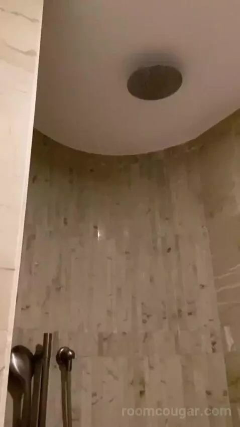 Executive Butler Service, Executive Suite, 1 King bathroom picture #11