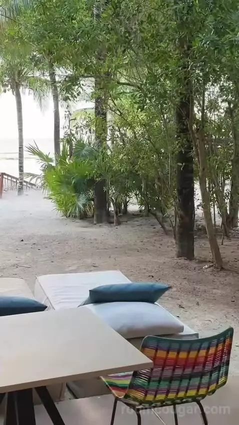 Double Room with Two Double Beds - Beachfront picture #13