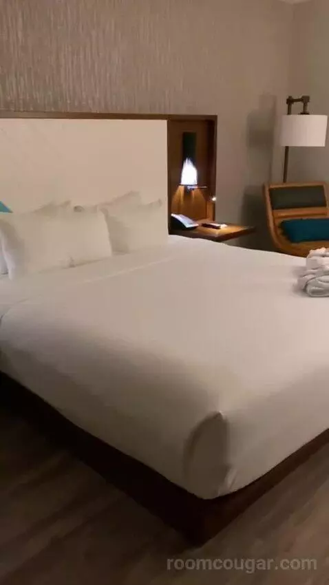 Addy's Suite, 1 Bedroom Suite, 1 King, Poolside bed picture #3