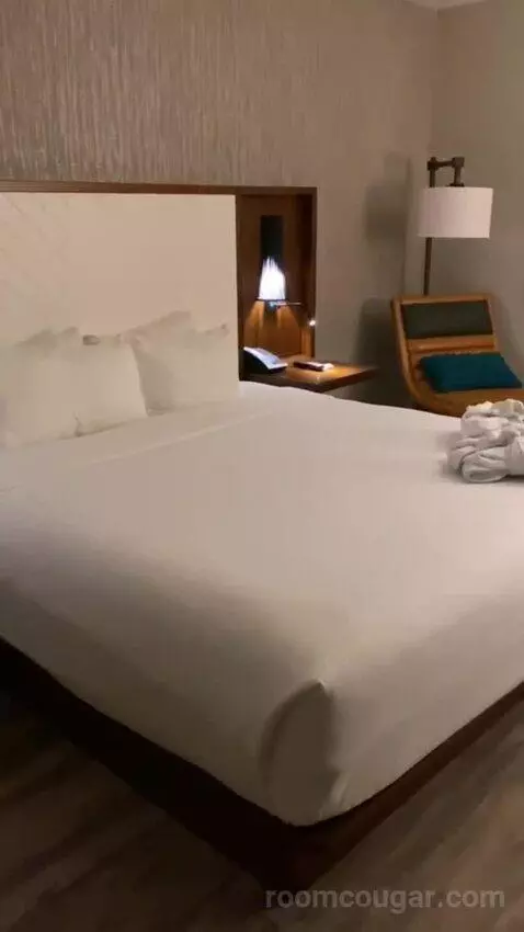 Addy's Suite, 1 Bedroom Suite, 1 King, Poolside bed picture #4